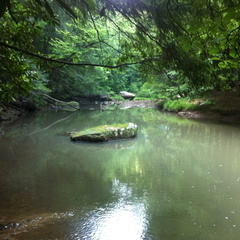 Clifty Wilderness